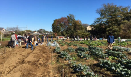 土に触れて、自然を五感で感じる！
秋の農体験
