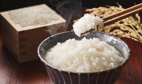 味覚を育む「ごはん」のススメ