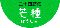 螳螂生（かまきりしょうず）