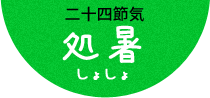 綿柎開（わたのはなしべひらく）