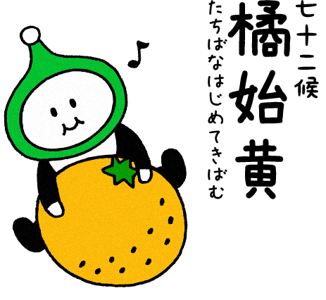 橘始黄（たちばなはじめてきばむ）