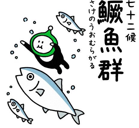 鱖魚群（さけのうおむらがる）