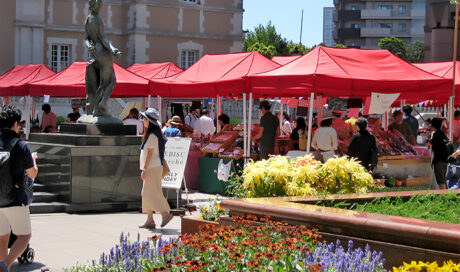 親子で行ける！首都圏のマルシェ情報