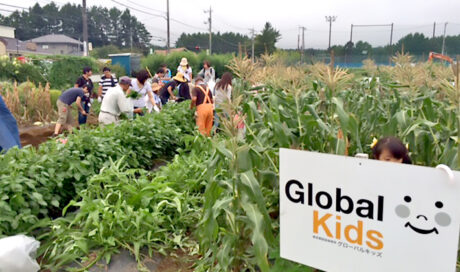 台風も吹き飛ばす！？元気に育った野菜たちに大満足。 ...