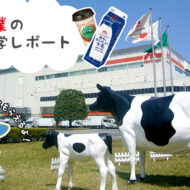ワクワク！びっくり！そして、とっても美味しい！ 「森永乳業...