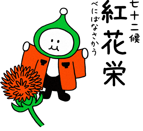 紅花栄（べにばなさかう）