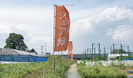 大収穫を夢見て、いざ畑へ！ワクワクドキドキ！！の巻 ―...