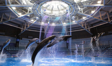 雨の日も親子で楽しめるスポット