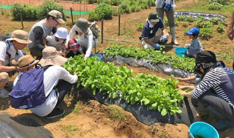 初夏の農体験イベントも盛況のうちに終了！