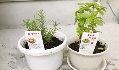 ＜連載Vol.1＞娘の成長に野菜の生長を重ね合わせ、 
手...