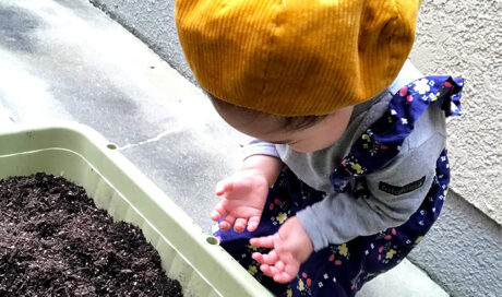 ＜連載Vol.3＞ 娘の成長に野菜の生長を重ね合わせ、 手...