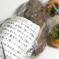 ＜連載Vol.4＞ 娘の成長に野菜の生長を重ね合わせ、 手探りで...