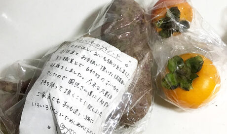 ＜連載Vol.4＞ 娘の成長に野菜の生長を重ね合わせ、 手...