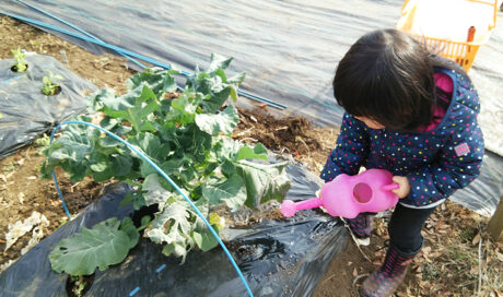 ＜連載Vol.5＞ 
食への興味を広げて欲しい…母の想いを...