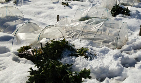＜連載Vol.6＞ 
食への興味を広げて欲しい…母の想いを...