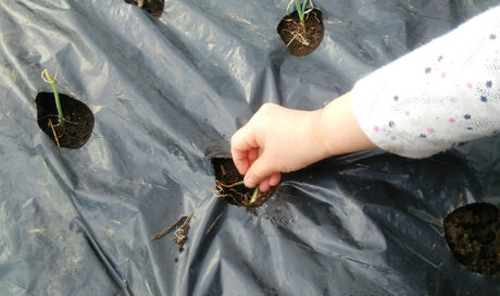 ＜連載Vol.7＞ 
食への興味を広げて欲しい…母の想いを...