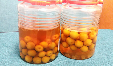 今年こそ！「梅しごと」のすすめ