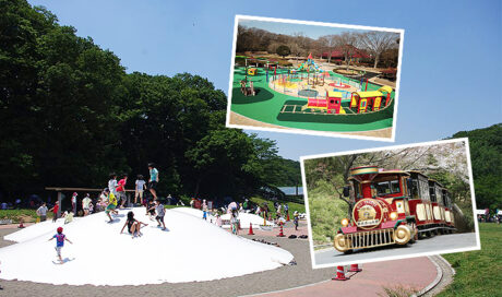 カラフルな遊具に巨大滑り台！広い芝生でピクニックも♪ ...