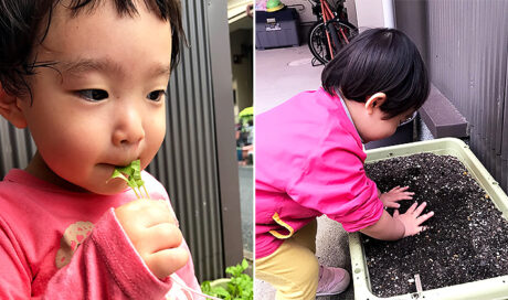食材そのものの味を知ることの大切さを実感！