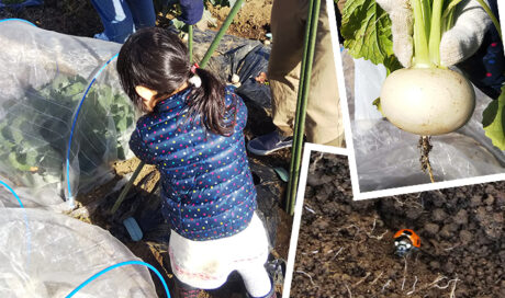 自分で採って自分で料理！採れたて野菜で身も心もホッコリ♪