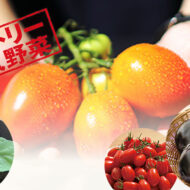甘い！とろける！驚きのおいしさを持つ野菜を家庭で