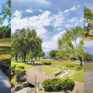 小川が流れる公園や竜のような遊具があるよ！
 緑と水がいっ...