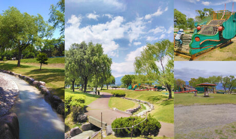 小川が流れる公園や竜のような遊具があるよ！
 緑と水...