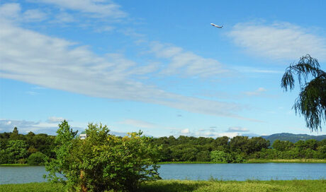 空には飛行機！池には渡り鳥！日本列島の形をした島もあ...
