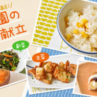 野菜の色を楽しもう～彩り豊かなレシピが大集合！～
