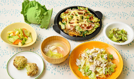 ふんわり、やわらか、あま～い「春キャベツ」をとことん...