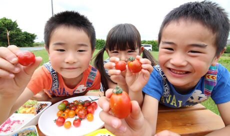 世界初！「ハピフルとまと」で食卓に笑顔を。