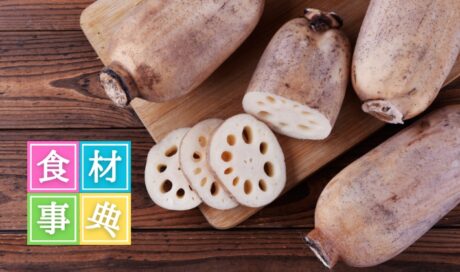 「れんこん」のおはなし