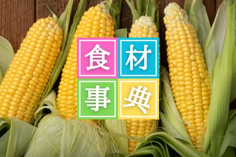 「とうもろこし」のおはなし