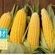 「とうもろこし」のおはなし