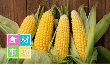 「とうもろこし」のおはなし